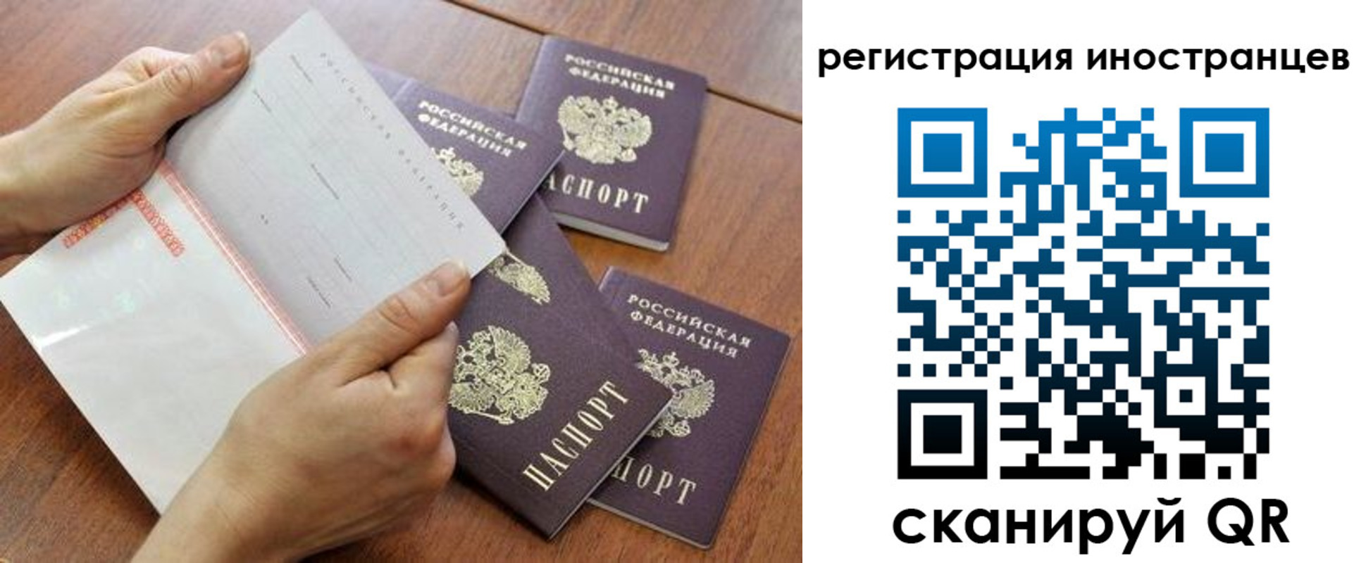 прописка поиск в Нижних Сергах